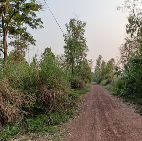 ขายที่ดินใกล้เมืองอุดรธานี ขนาด 9 ไร่ 50 ตรว. เข้าซอยข้างดูโฮม