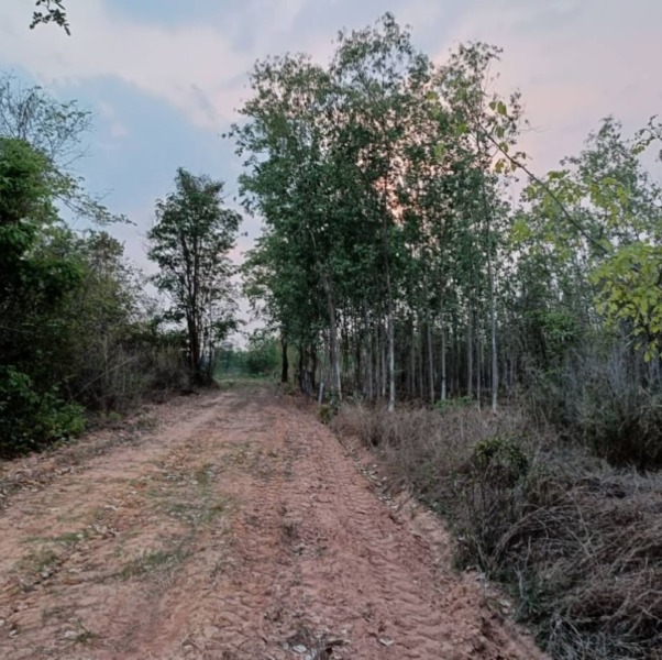 ขายที่ดินใกล้เมืองอุดรธานี ขนาด 9 ไร่ 50 ตรว. เข้าซอยข้างดูโฮม