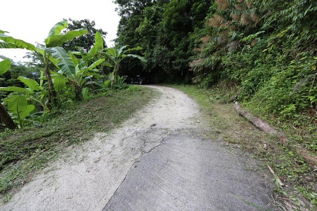 ขายที่ดินที่ภูเก็ต อยู่เกาะภูเก็ตเลย ตำบลป่าตองเหมาะทำบ้านพักตากอากาศ หรือ รีสอร์ทเล็กๆ วิวทะเล เห็นหาดป่าตอง