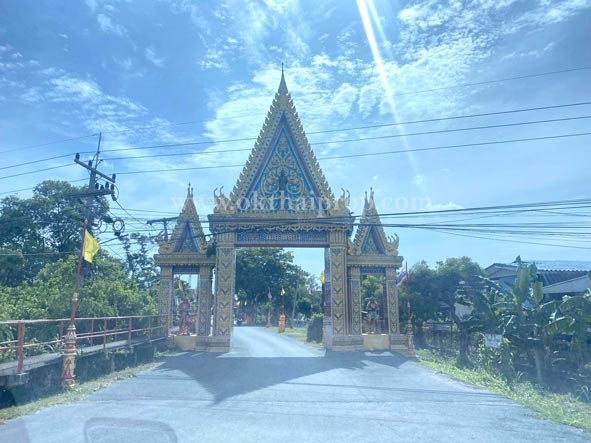 ที่ดิน ถ.347 ถนนหลัก (ถ.เกาะเกิด / ถ.บ้านแป้ง) อ.บางปะอิน จ.พระนครศรีอยุธยา