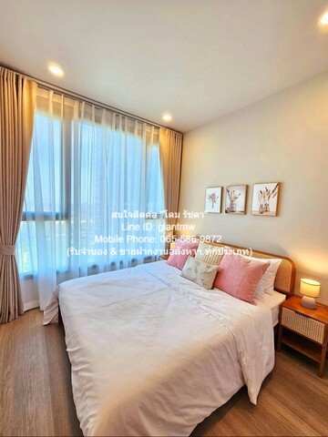 condominium Whizdom The Forestias วิสซ์ดอม เดอะ ฟอเรสเทียส์ 2BEDROOM2BR 39000 บาท ใกล้กับ Mega บางนา และห้าง Central บาง