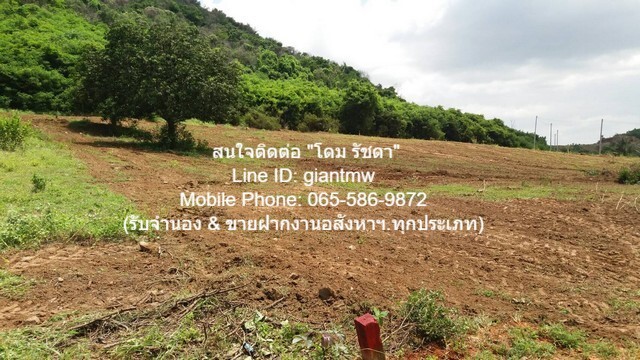 รหัส: DSL-163.3 ประกาศขาย ที่ดิน ขายที่ดินเปล่าปากน้ำปราณ (ห่างชายทะเลปากน้ำปราณ 3 กม.) 335.5 ตร.ว. 0 ไร่ 2 Ngan 0 SQ.WA