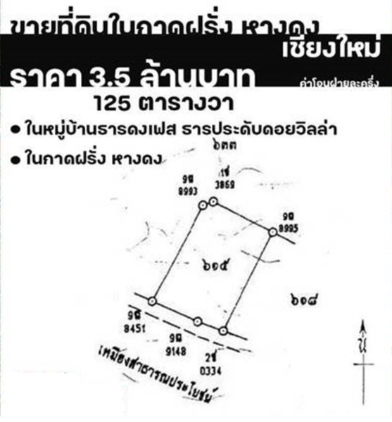 ขายที่ดิน 125ตรว. 3.7ลบ. หลังกาดฝรั่ง หมู่บ้านธารดงเฟส ต.บ้านแหวน อ.หางดง เชียงใหม่