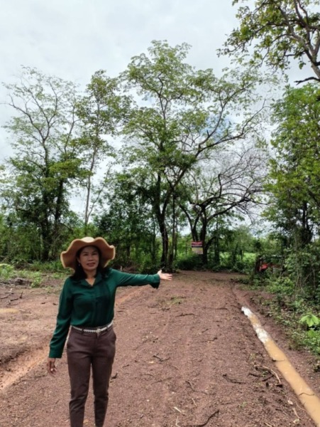 ขายที่ดิน100 ตรว. อ.เมือง จ.หนองบัวลำภู