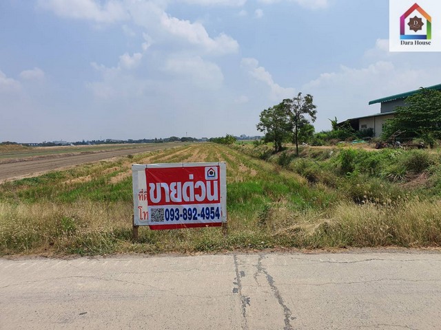 พื้นที่ดิน ขายที่ดินเปล่า ตำบลคูบางหลวง อำเภอลาดหลุมแก้ว จังหวัดปทุมธานี 16150000 – ONE PRICE! ที่ดินรูปสี่เหลี่ยมผืนผ้า