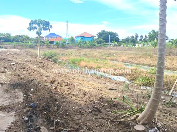 บ้านพร้อมที่ดิน ต.บางแม่นาง อ.บางใหญ่ จ.นนทบุรี