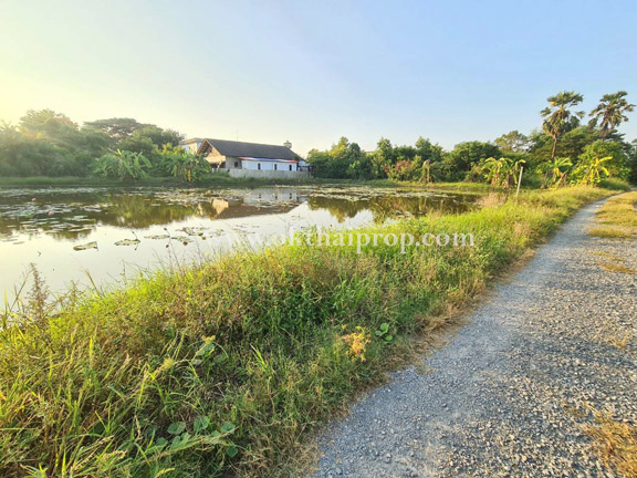 ขายที่ดิน ใกล้วัดอ่วมอ่อง ซ.หมู่บ้านเคหะการเกษตร ถนนคลองถนน บางใหญ่ นนทบุรี