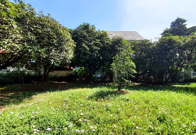 ขายที่ดิน ในหมู่บ้านนันทวัน รามอินทรา-วัชรพล เนื้อที่ 137 ตร.ว. แปลงสวย ราคาต่อรองได้