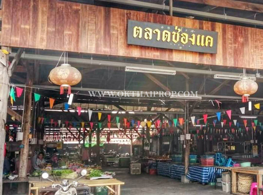 ที่ดินติดถนน ใกล้ชลประทานช่องแค อ.ตาคลี จ.นครสวรรค์