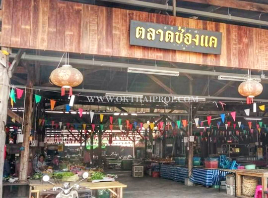 ที่ดินติดถนน ใกล้ชลประทานช่องแค อ.ตาคลี จ.นครสวรรค์