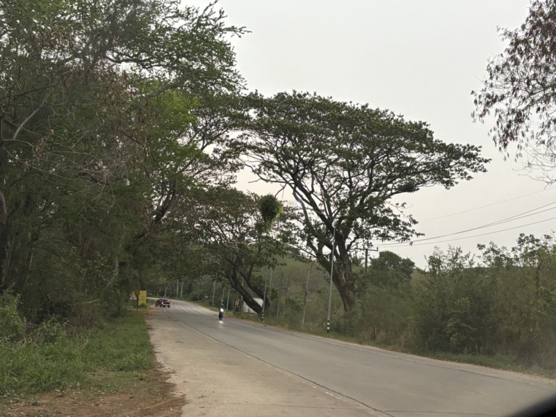 ขายบ้านสวนพร้อมที่ดิน ใกล้เขื่อนลำตะคอง บรรยากาศดีเยี่ยม เหมือนอยู่ต่างประเทศ