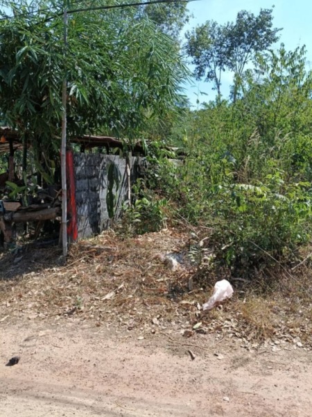 ขายที่ดินติดร้านอาหารครัวริมบึงโง้ง ขนาด 200ตรว.