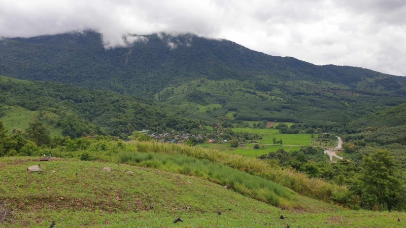 ขายที่ดิน พิกัด ต.แม่ลาว อำเภอเชียงคำ จังหวัดพะเยา