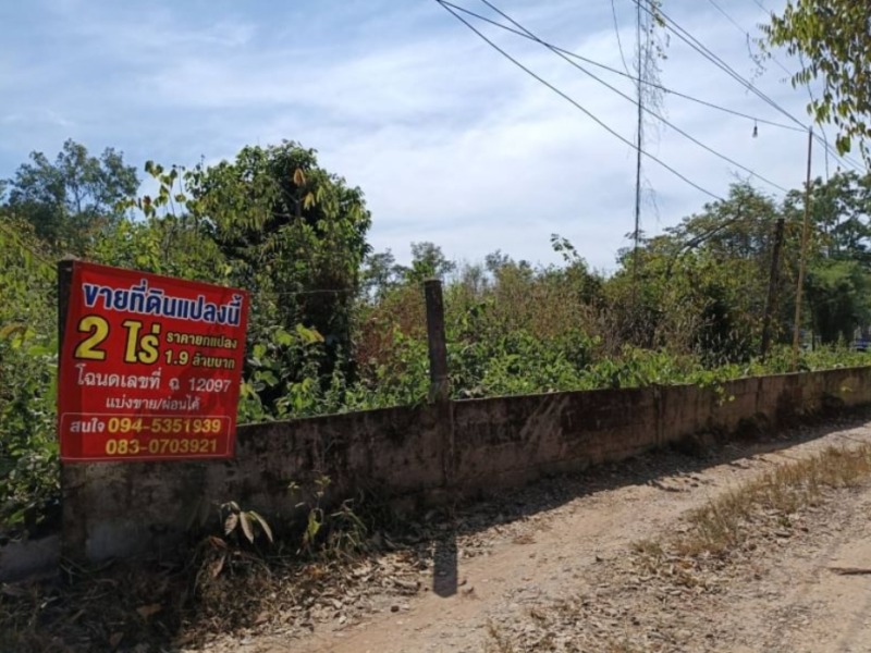 ขายที่ดินติดร้านอาหารครัวริมบึงโง้ง ขนาด 200ตรว.