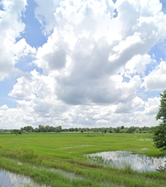 ขายที่ดินในตัวอำเภอจักราช น้ำไฟเข้าถึง อยู่ในเขตเทศบาล