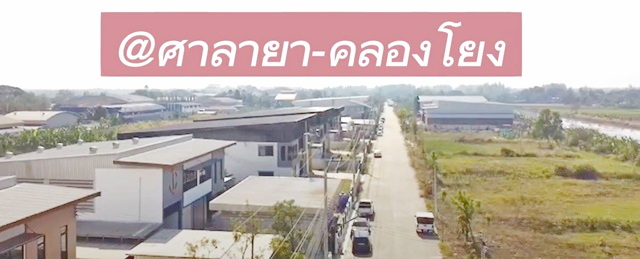 บางใหญ่ พุทธมณฑล สาย4 เช่า ขายโกดัง พร้อมออฟฟิศ 2 นอน 501 ตร.ม. ศาลายา 126 ตร.วา.คลองโยง ม.ราชภัฏสวนสุนันทา นครปฐม 2.7 ก