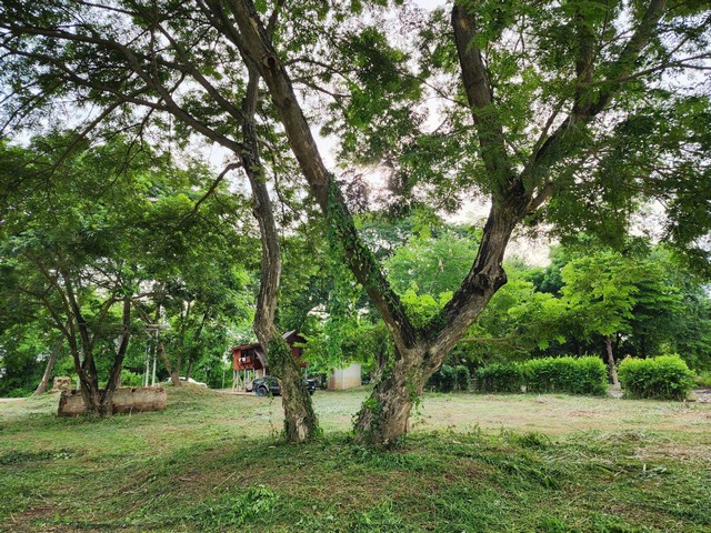 ขายที่ดินแปลงสวยติดริมแม่น้ำ ตำบล แคตก อำเภอบางไทร จังหวัดอยุธยา