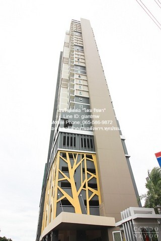 Condominium ริชพาร์ค @ เจ้าพระยา Rich Park @ Chaophraya 1 Bedroom 1 BATHROOM 32 ตร.-ม. 10000 บาท ใกล้ MRT ไทรม้า ด่วน นน