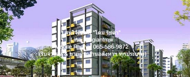 condominium มายคอนโด สุขุมวิท 81 ขนาดพื้นที่ 25 ตร.ม. 11000 BAHT ราคาดีเยี่ยม กรุงเทพ