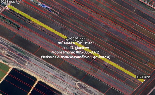 พื้นที่ดิน ขายที่ดินทุ่งนาติดถนน ต.คลองเปร็ง อ.เมืองฉะเชิงเทรา 13-0-24.9 ไร่ 6.25 ล้านบาท ขนาด 13 ไร่ 0 ngan 25 SQ.WA 62