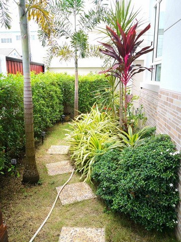 For Rent : Kathu, Single-story detached house, 3 Bedrooms 2 Bathrooms