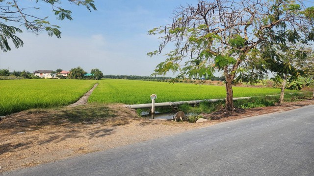 ให้เช่าที่ดิน ที่ดินติดถนนใหญ่ คลองสิบ-คลองสิบสี่ เขตหนองจอก