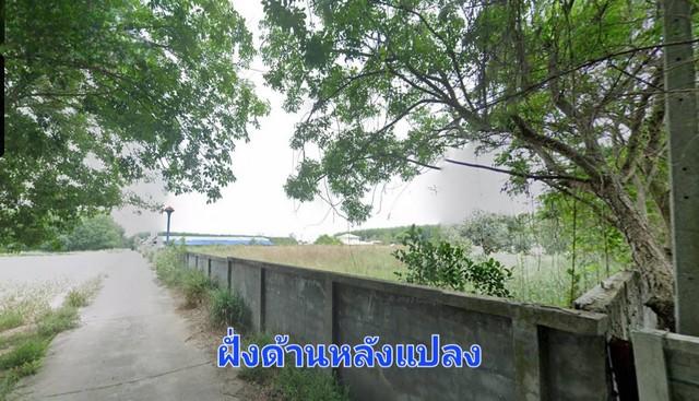 ขายที่ดิน 9-3-31 ไร่ แปลงสวยติดถนนสองฝั่งหน้าหลัง พื้นที่ม่วงจุดขาว มาบยางพร ปลวกแดง