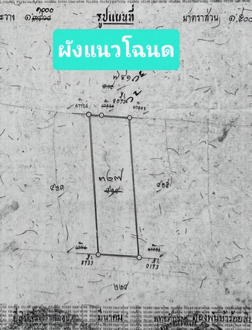 ขายอาคาร 3 ชั้น พื้นที่ 600 ตรม. และโกดัง ต.บางรักพัฒนา ตรงข้ามโลตัส โกเฟรช ซูเปอร์มาร์เก็ต บางบัวทอง