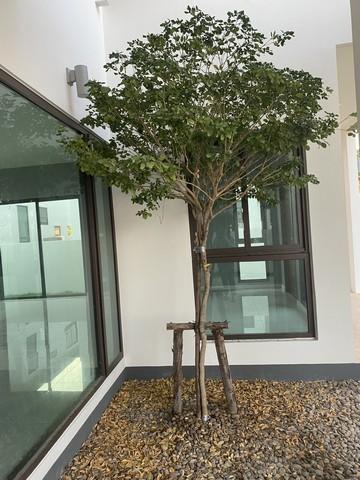 ให้เช่าบ้านเดี่ยว 2 ชั้น หมู่บ้านละไม หทัยราษฎร์ 39 สไตล์ Modern Japanese ใกล้สาธิตพัฒนา , ซาฟารีเวิล์ด