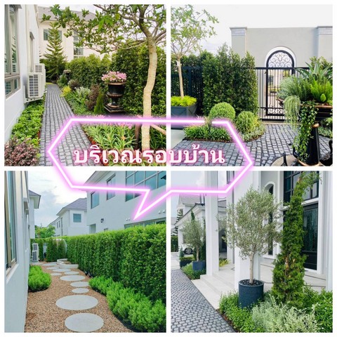 ขายบ้านเดี่ยวPerfect Masterpiece กรุงเทพกรีฑา Zone ใหม่ พร้อมตกแต่งในบ้าน สวนรอบบ้าน มีสนามบาสในบ้าน