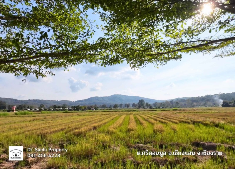 ขายโฮมสเตย์ พร้อมบ้านพักสวย วิวเขา 3 ด้าน ใกล้สามเหลี่ยมทองคำ, ดอยสะโง้ จ.เชียงราย