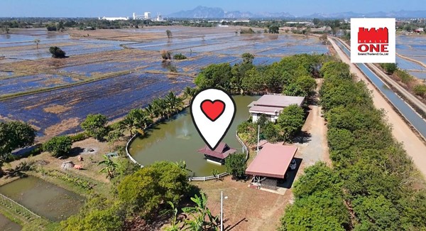 ขายที่ดินบ้านสวน เสาไห้ สระบุรี 6 ไร่ 2 งาน 39 ตรว. มีบ้านปูนลอฟท์ บ้านสวนพร้อมอยู่ ติดต่อ คุณเกริก 0934415691