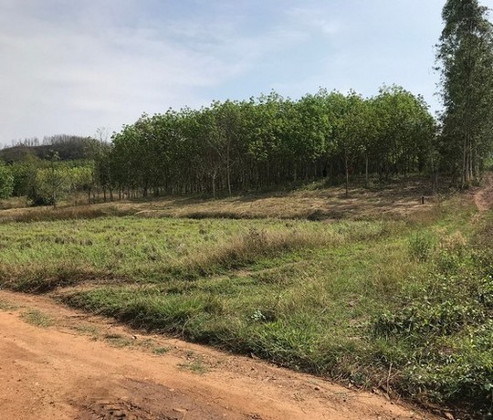 พื้นที่ดิน ที่ดิน บ้านนาค้อ ปากชม จ.เลย 1200000 บาท ใกล้ อยู่บ้านนาค้อ ห่างจากถนนทางหลวงสายปากชม-บ้านธาตุ ไม่ถึง 100 เมต