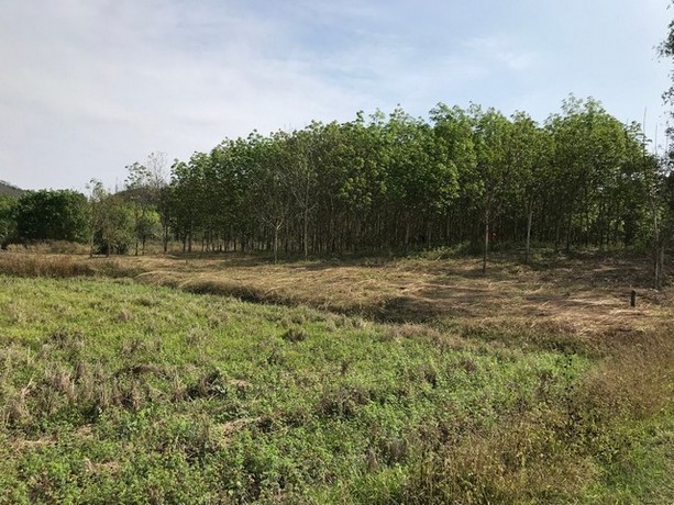 พื้นที่ดิน ที่ดิน บ้านนาค้อ ปากชม จ.เลย 1200000 บาท ใกล้ อยู่บ้านนาค้อ ห่างจากถนนทางหลวงสายปากชม-บ้านธาตุ ไม่ถึง 100 เมต