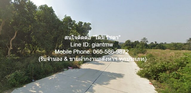 FOR SALE ที่ดิน ที่ดินเขาชีจรรย์ สัตหีบ ชลบุรี 3115 SQ.WA 31150000 THB ไม่ไกลจาก ห่างพระพุทธรูปแกะสลักหน้าผาเขาชีจรรย์ 1