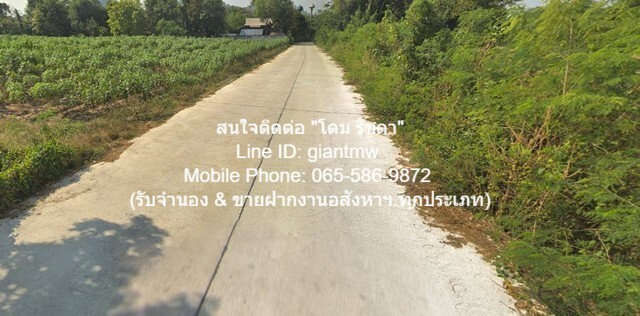 FOR SALE ที่ดิน ที่ดินเขาชีจรรย์ สัตหีบ ชลบุรี 3115 SQ.WA 31150000 THB ไม่ไกลจาก ห่างพระพุทธรูปแกะสลักหน้าผาเขาชีจรรย์ 1