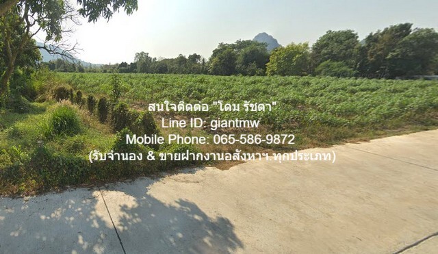 FOR SALE ที่ดิน ที่ดินเขาชีจรรย์ สัตหีบ ชลบุรี 3115 SQ.WA 31150000 THB ไม่ไกลจาก ห่างพระพุทธรูปแกะสลักหน้าผาเขาชีจรรย์ 1