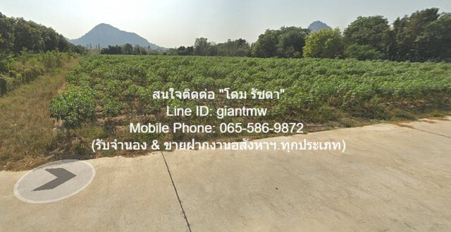 FOR SALE ที่ดิน ที่ดินเขาชีจรรย์ สัตหีบ ชลบุรี 3115 SQ.WA 31150000 THB ไม่ไกลจาก ห่างพระพุทธรูปแกะสลักหน้าผาเขาชีจรรย์ 1