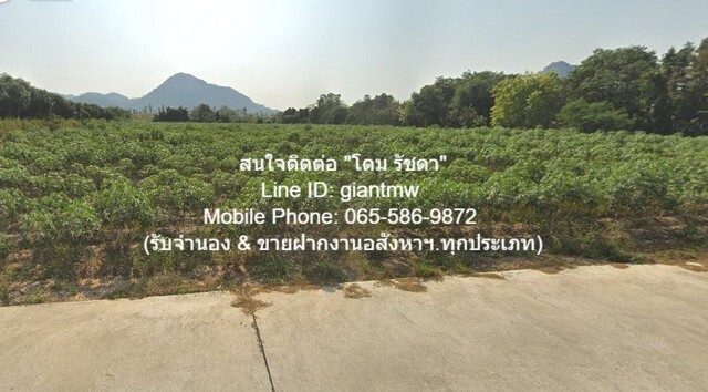 FOR SALE ที่ดิน ที่ดินเขาชีจรรย์ สัตหีบ ชลบุรี 3115 SQ.WA 31150000 THB ไม่ไกลจาก ห่างพระพุทธรูปแกะสลักหน้าผาเขาชีจรรย์ 1