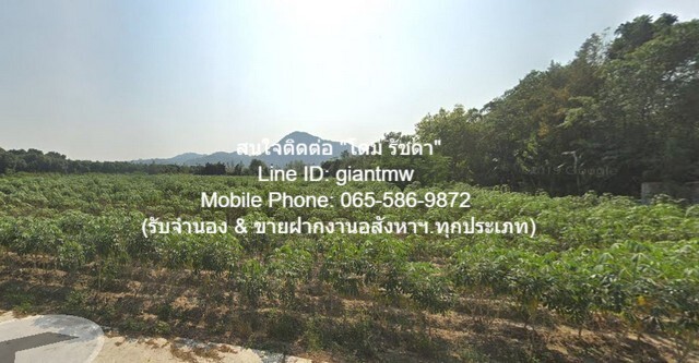 FOR SALE ที่ดิน ที่ดินเขาชีจรรย์ สัตหีบ ชลบุรี 3115 SQ.WA 31150000 THB ไม่ไกลจาก ห่างพระพุทธรูปแกะสลักหน้าผาเขาชีจรรย์ 1