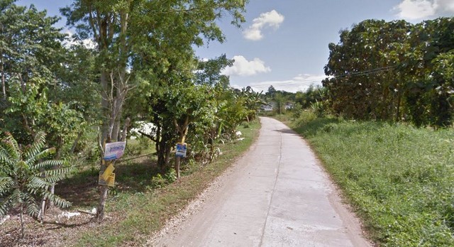 พื้นที่ดิน ที่ดิน เขาค้อ เพชรบูรณ์ พร้อมให้คุณได้จับจอง เพชรบูรณ์