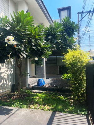 [ให้เช่า] FOR RENT BAAN JITLADA LAND BANGKRUAI – SAINOI / 3 bedrooms 3 bathrooms / 95 Sqw. 180 Sqm. **20,000** CLOSE TO SAINOI HOSPITAL