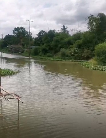 ที่ดิน ที่ดินติดคลองหลวงแพ่ง ลำต้อยติ่ง หนองจอก โครตถูก! อยู่ท่ามกลางธรรมชาติ, ติดคลองหลวงแพ่ง และเหมาะสำหรับคนที่ต้องกา