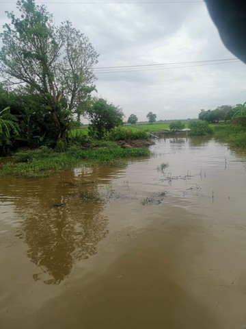 ที่ดิน ที่ดินติดคลองหลวงแพ่ง ลำต้อยติ่ง หนองจอก โครตถูก! อยู่ท่ามกลางธรรมชาติ, ติดคลองหลวงแพ่ง และเหมาะสำหรับคนที่ต้องกา