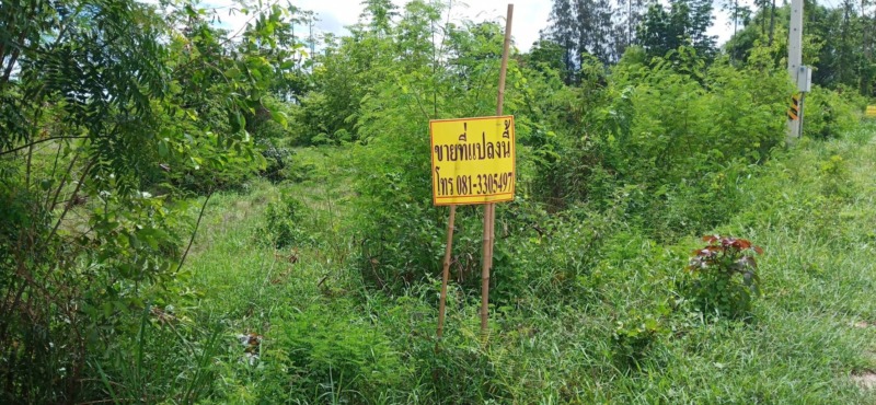 ขายที่ดิน 16 ไร่ ติดถนน 4 เลน บ้านโพธิ์-แปลงยาว (สาย 3304) อ.บ้านโพธิ์ จ.ฉะเชิงเทรา