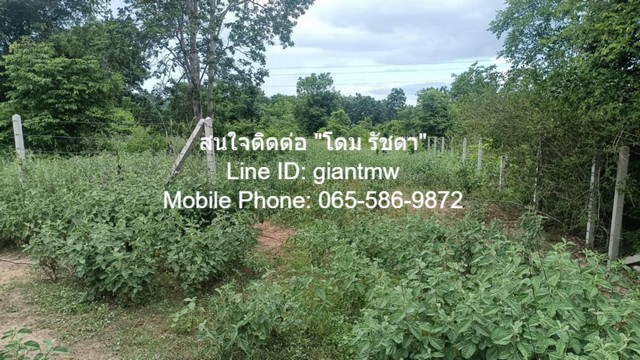 ID : DSL-361 ขาย ที่ดิน ที่ดิน หัวหิน จ.ประจวบคีรีขันธ์ ขนาดพื้นที่ 0 ตาราง.วา 0 ngan 1 RAI 2500000 บาท. เข้าออกได้หลายท