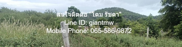 ID : DSL-361 ขาย ที่ดิน ที่ดิน หัวหิน จ.ประจวบคีรีขันธ์ ขนาดพื้นที่ 0 ตาราง.วา 0 ngan 1 RAI 2500000 บาท. เข้าออกได้หลายท