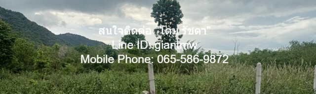 ID : DSL-361 ขาย ที่ดิน ที่ดิน หัวหิน จ.ประจวบคีรีขันธ์ ขนาดพื้นที่ 0 ตาราง.วา 0 ngan 1 RAI 2500000 บาท. เข้าออกได้หลายท