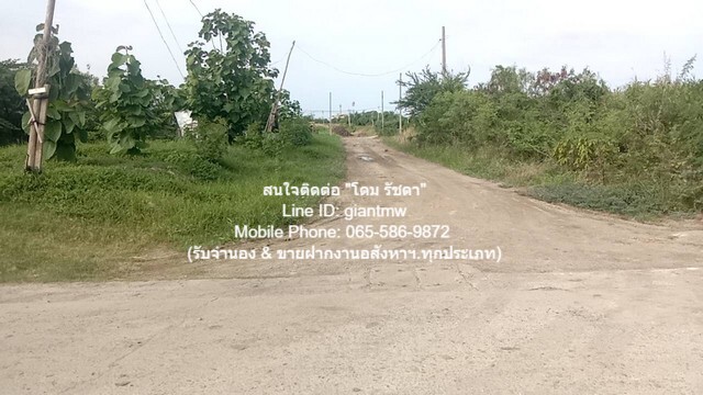 ประกาศขาย ที่ดิน ที่ดิน ใกล้เอเเบค บางนา สมุทรปราการ 15 ไร่ 2 งาน 85 ตร.วา 109987500 บาท ราคานี้รีบจอง