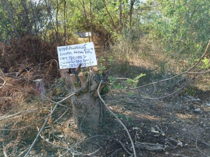 ขายที่ดิน100ตรว.ติดถนนคอนกรีต ข้างหลังเต้นท์รถยนต์ 50เมตร